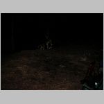 16 - The pups demonstrate how to handle a bear.jpg
